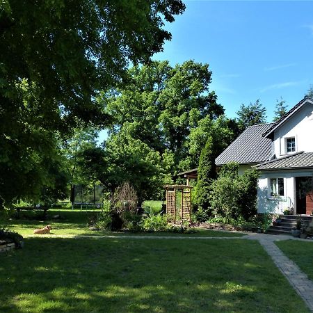 Ferienwohnung im Spreewald in idyllischer Alleinlage Werben  Exterior foto