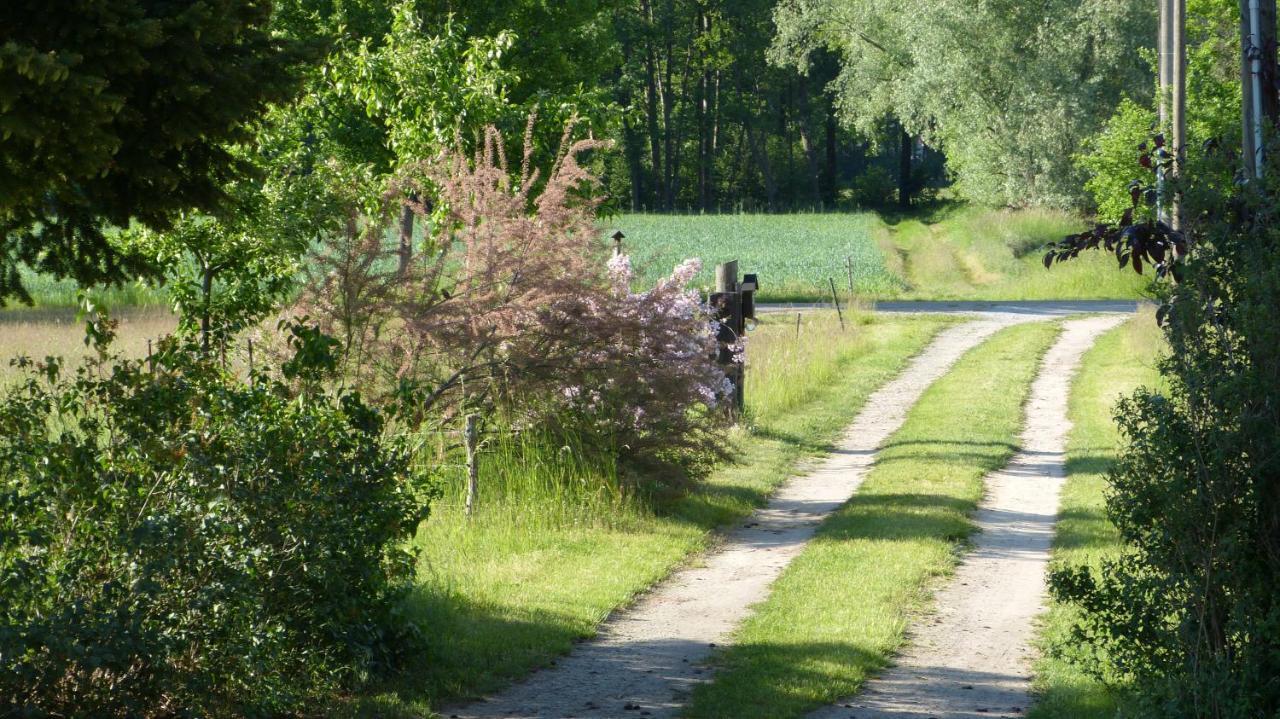 Ferienwohnung im Spreewald in idyllischer Alleinlage Werben  Exterior foto