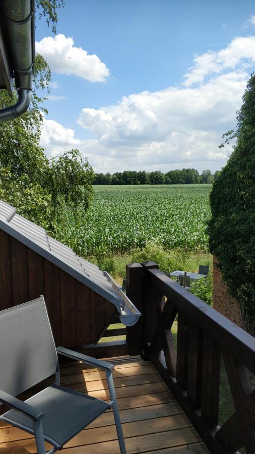 Ferienwohnung im Spreewald in idyllischer Alleinlage Werben  Exterior foto