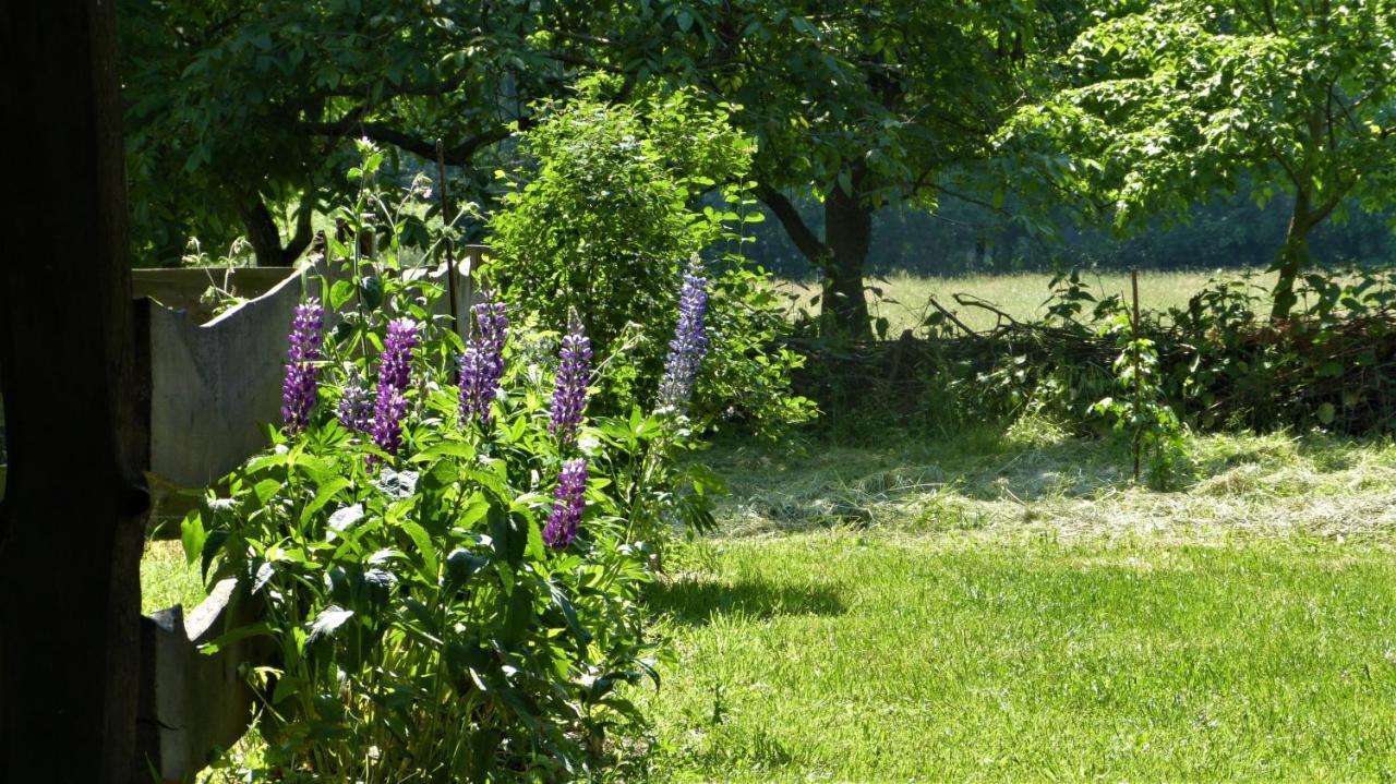 Ferienwohnung im Spreewald in idyllischer Alleinlage Werben  Exterior foto