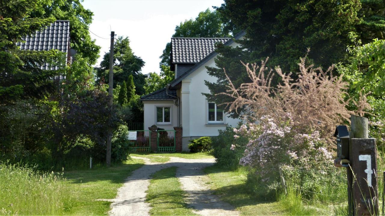 Ferienwohnung im Spreewald in idyllischer Alleinlage Werben  Exterior foto