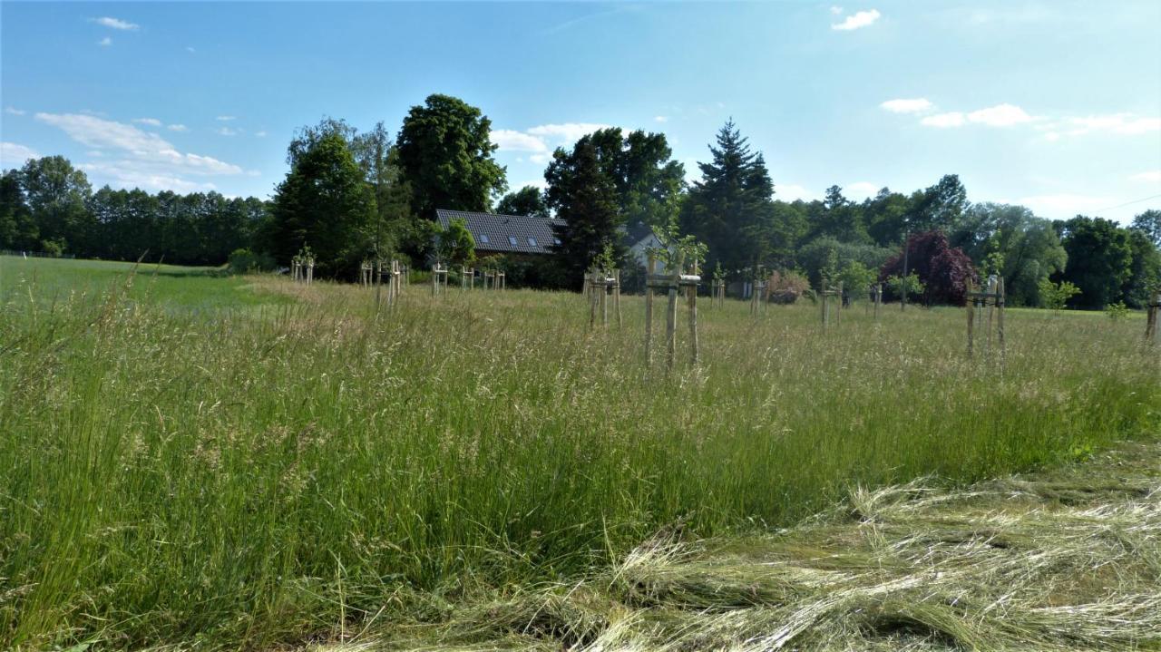 Ferienwohnung im Spreewald in idyllischer Alleinlage Werben  Exterior foto
